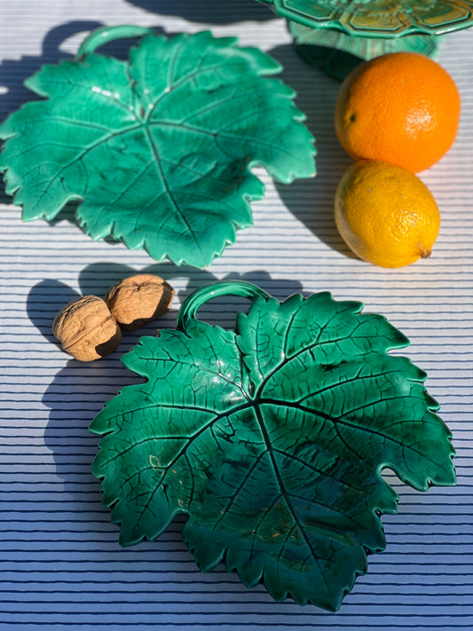 Petits plats feuilles