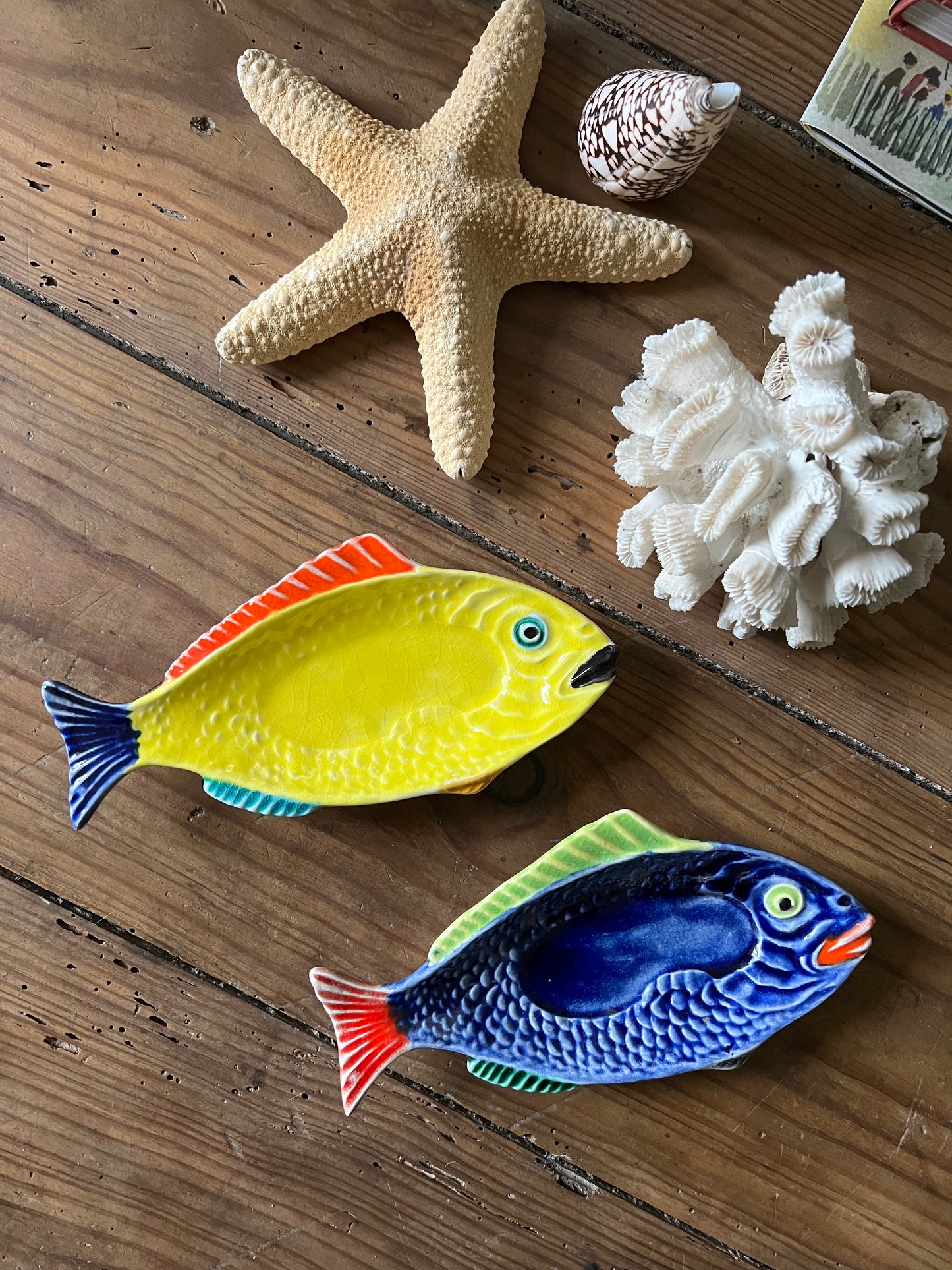2 petits raviers poissons