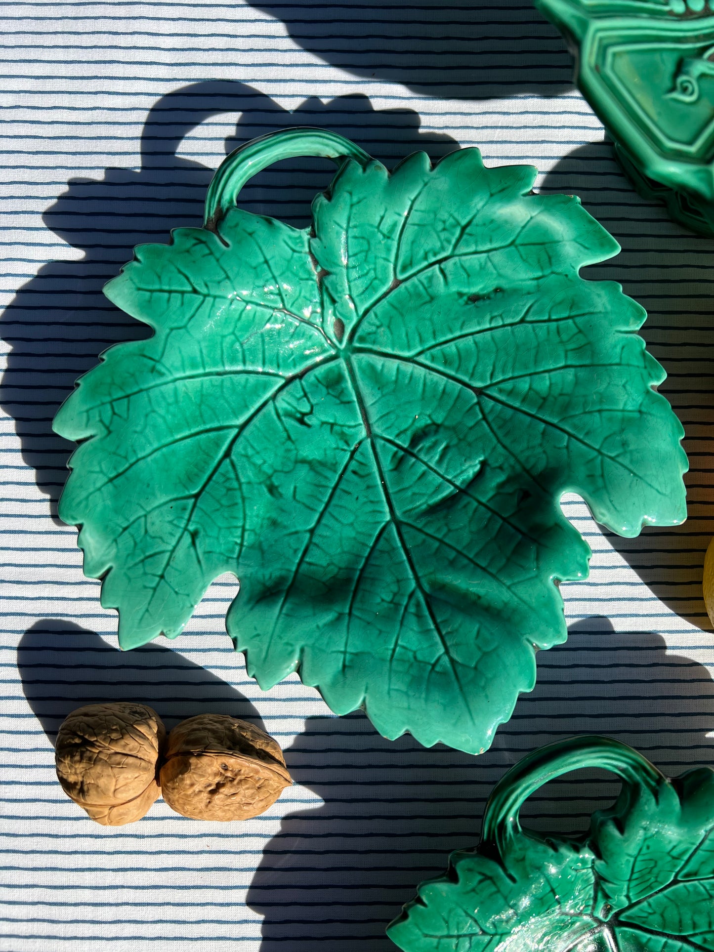 Petits plats feuilles