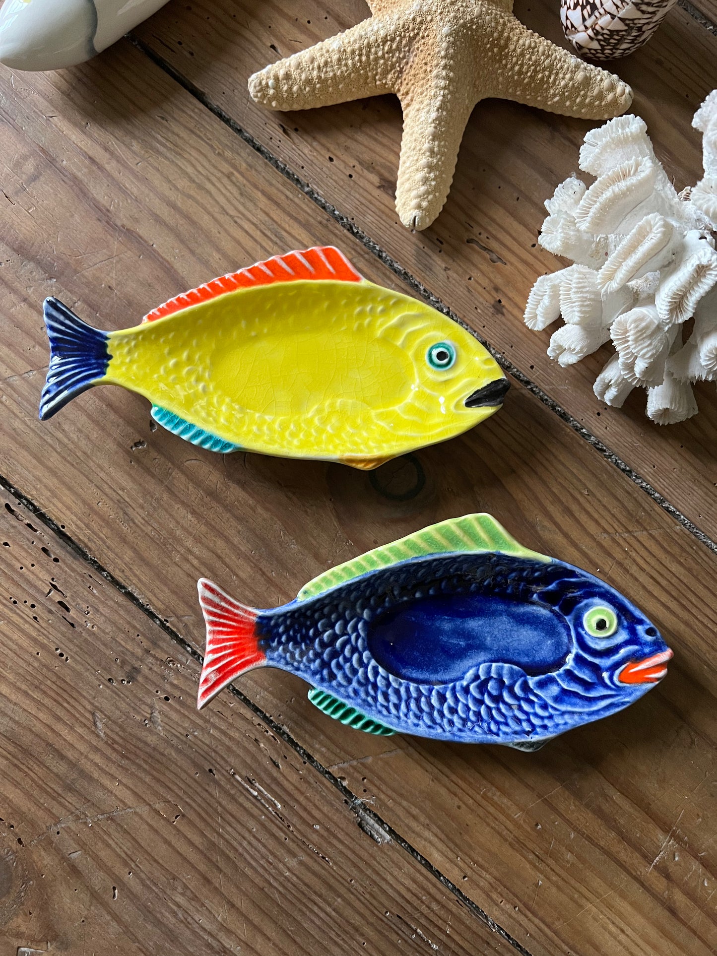2 petits raviers poissons