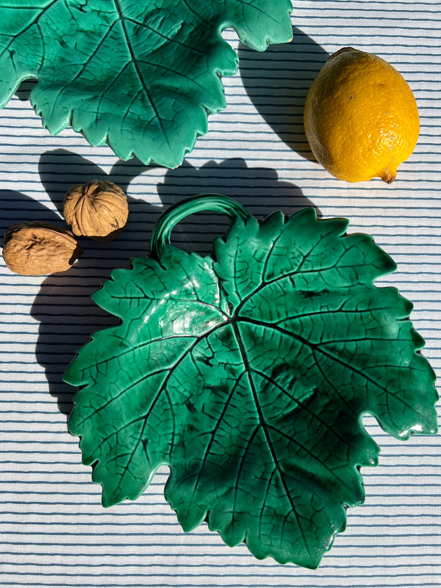 Petits plats feuilles