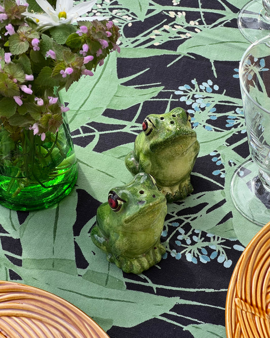 Salière et poivrière grenouilles
