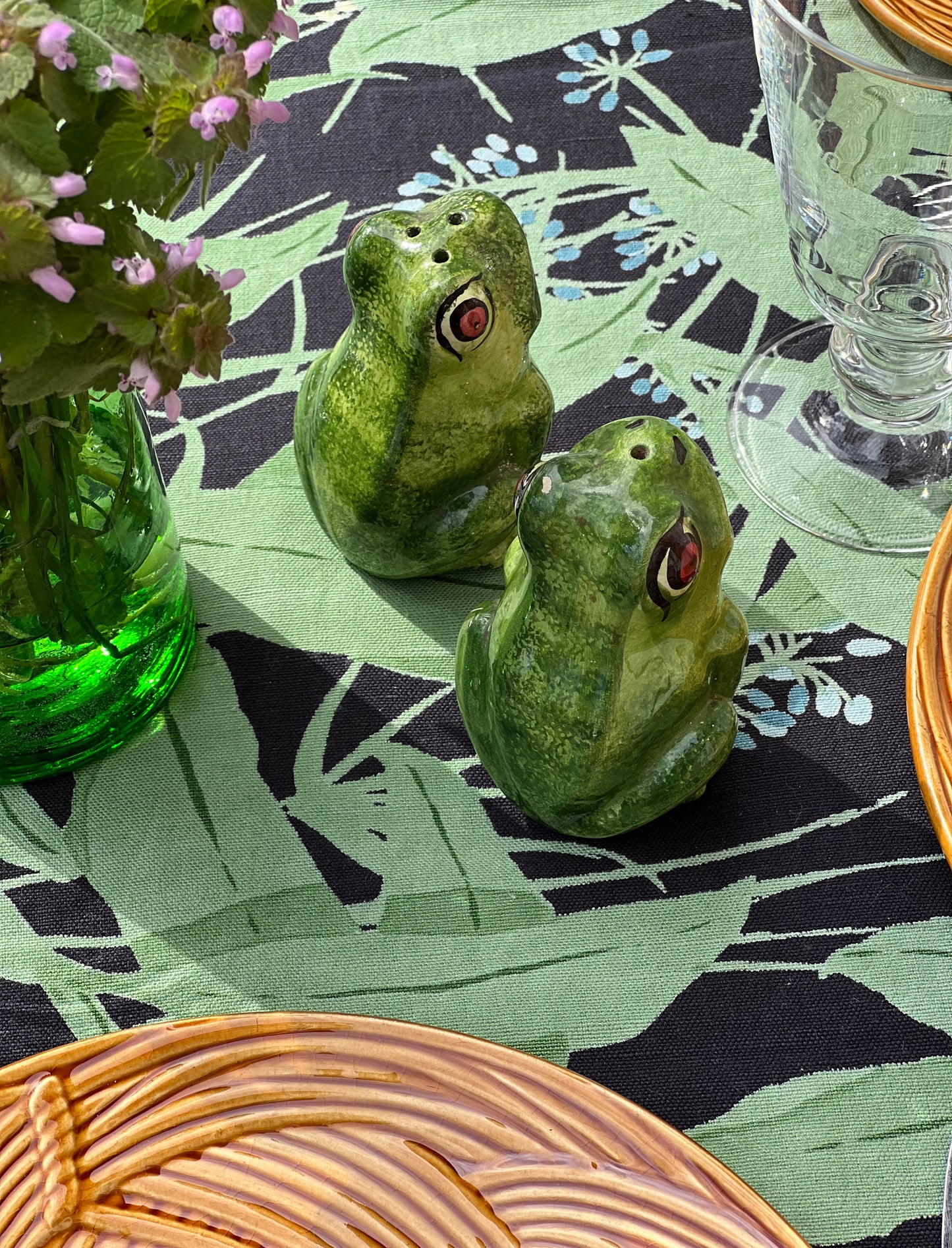 Salière et poivrière grenouilles