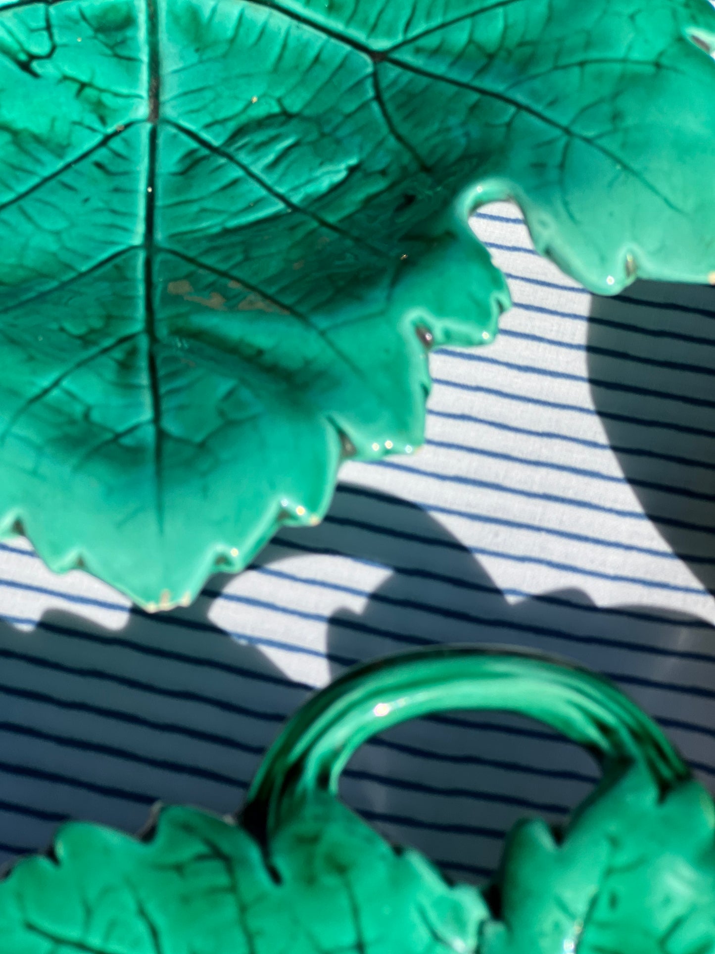 Petits plats feuilles
